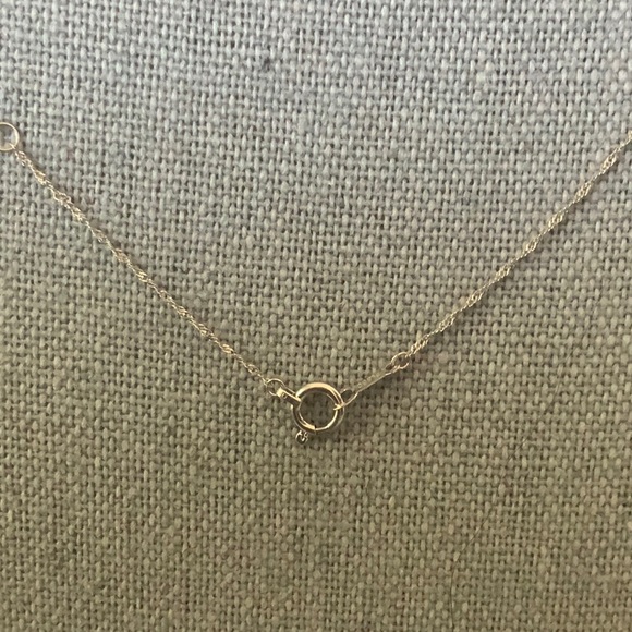 PT850 Platinum Chain and Diamond (.45ct) Pendant Necklace (16in) - Picture 5 of 5